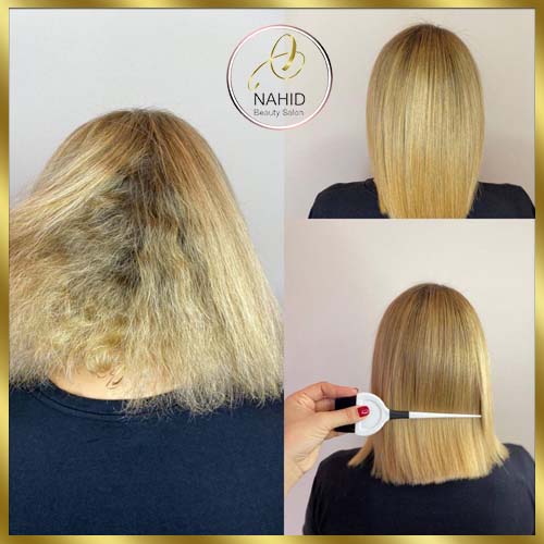 گالری احیا و صافی مو